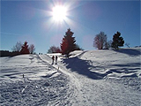 Wandern am Skilift Schmiedefeld.